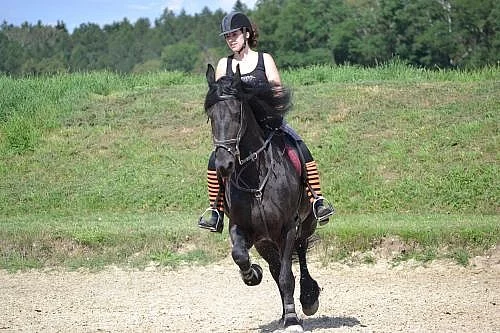 Sháním ježdění (pronájem) - Praha