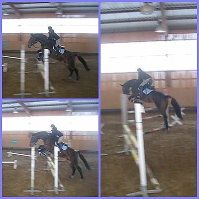 Jezdectví - pronájem koně pokročilému jezdci Praha