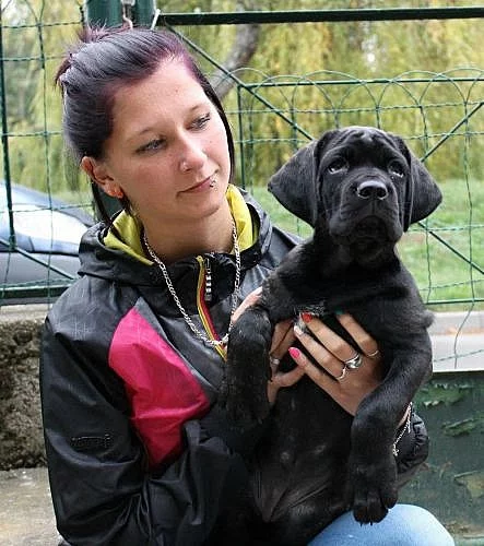 fenka s PP  Cane Corso