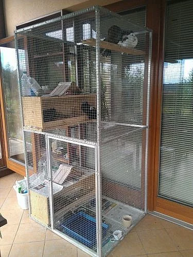 Prodám holuby páviky s voliérou