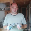 Milan Zapletal