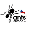 Ants Europe