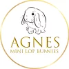 Agnes Bunnies