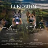 Lukemhof