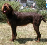 Pointer Pointer